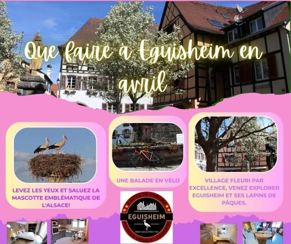 Gite St Leon A Eguisheim Dış mekan fotoğraf